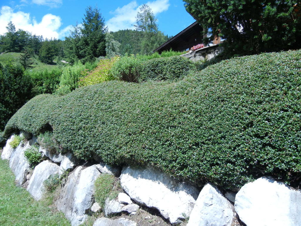 Privathaus Achensee Ахенкирх Стая снимка